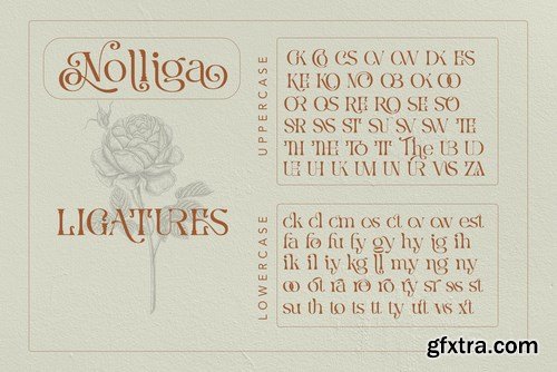 Nolliga Typeface