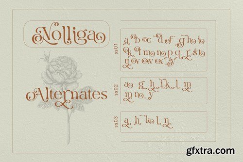 Nolliga Typeface