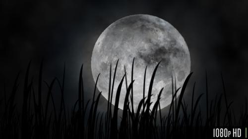 Videohive - Full Moon or Harvest Moon in the Fall - 32324513 - 32324513