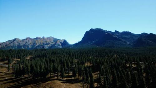 Videohive - Panorama of Cone Forest at Mountains - 32339375 - 32339375