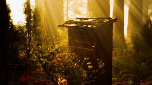 Videohive - Old Wooden Beehive in Forest in Fog - 32338761 - 32338761