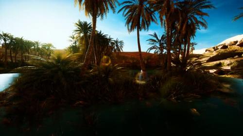 Videohive - Palm Trees in Sahara Desert - 32338901 - 32338901