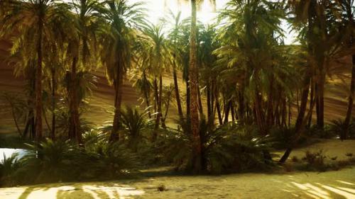 Videohive - Palm Trees Inside the Dunes - 32338912 - 32338912