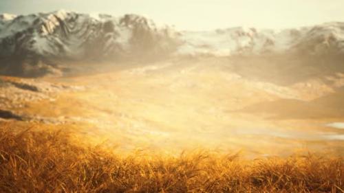 Videohive - Dry Grass and Snow Covered Mountains in Alaska - 32338965 - 32338965