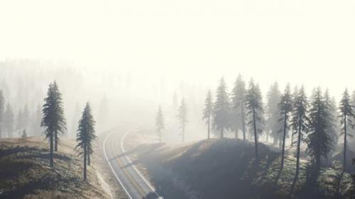 Videohive - Road Through the Russian Taiga Forest From Aerial View - 32339354 - 32339354