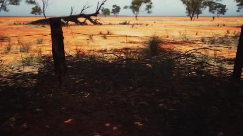 Videohive - Pampas with Barbed Wire Fence and Dry Bushes - 32339533 - 32339533