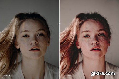 CreativeMarket - Portrait Lightroom Presets 2906188