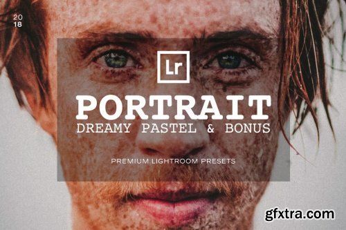 CreativeMarket - Portrait Lightroom Presets 2906188