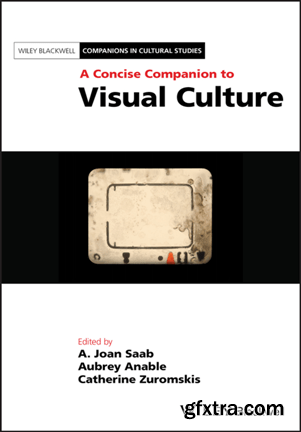 A Concise Companion to Visual Culture