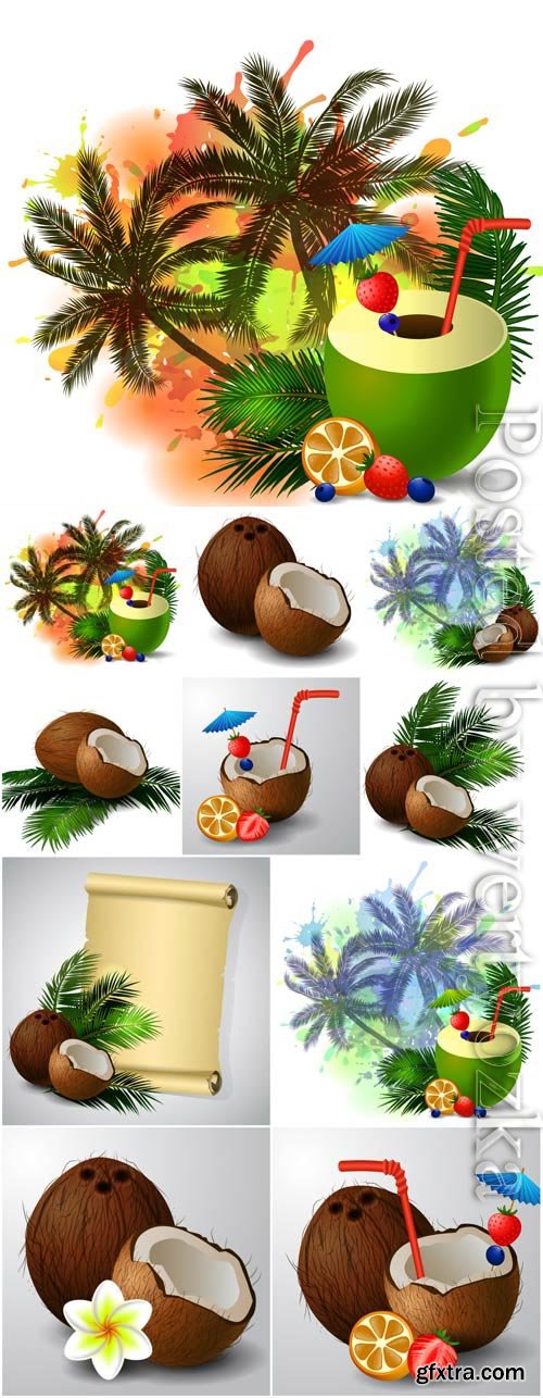 Summer illustration, coconut and palm trees in vector