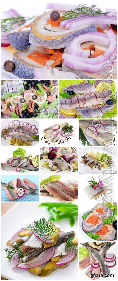 Herring with onions and olives stock photo