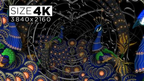 Videohive - Peacock 4k 02 - 32345813 - 32345813