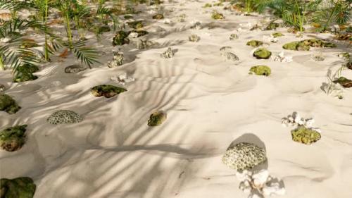 Videohive - Summer On The Beach 01 4K - 32356224 - 32356224