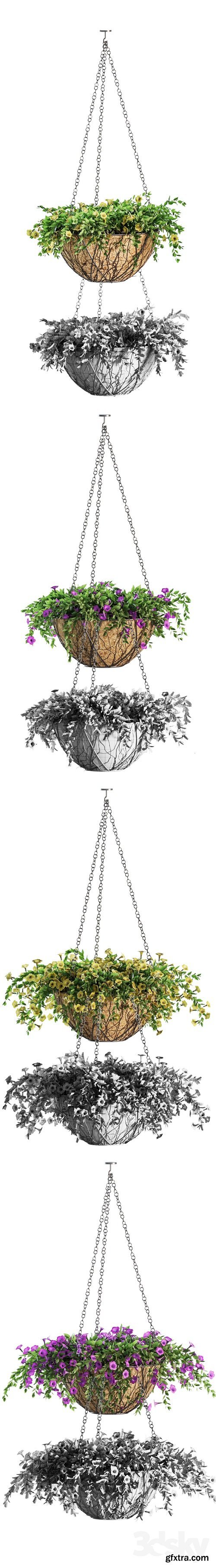 Flowers in a flower pot on a chain. Petunia. 4 models