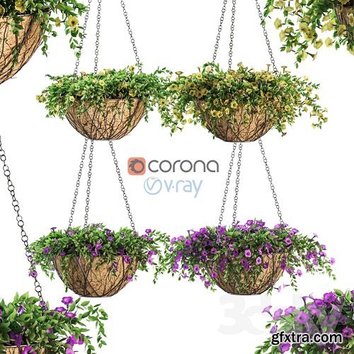 Flowers in a flower pot on a chain. Petunia. 4 models