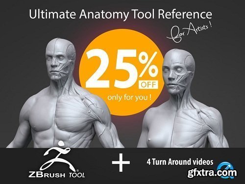 Gumroad - Ultimate Anatomy Tool Reference for Artists V2