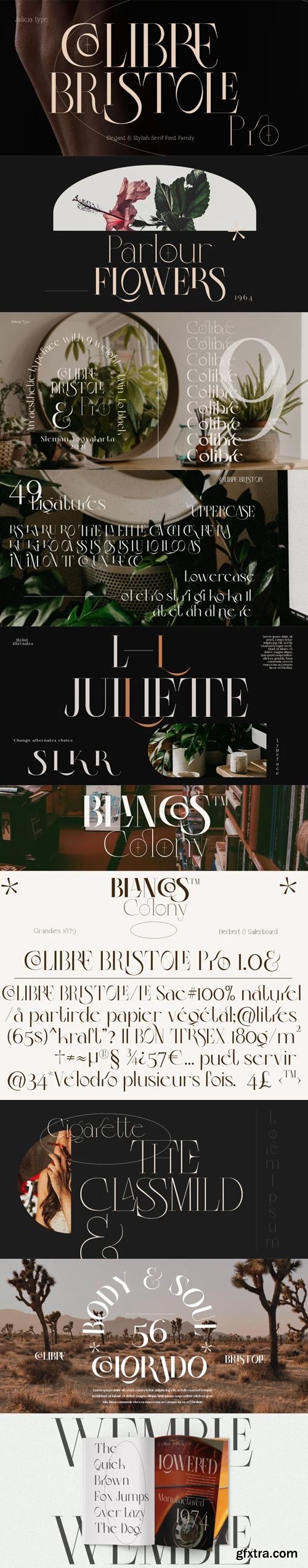 Colibre Bristole Pro Font Family