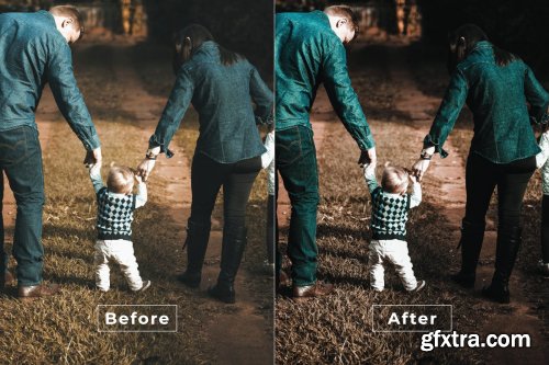 Family Desktop and Mobile Lightroom Preset