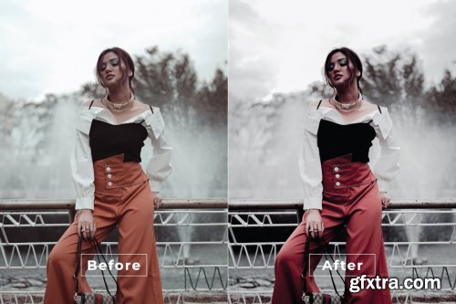 Influencer Desktop and Mobile Lightroom Preset