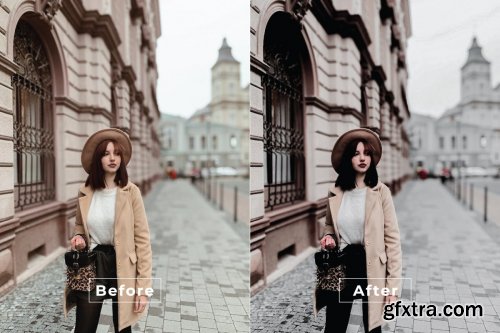 Influencer Desktop and Mobile Lightroom Preset