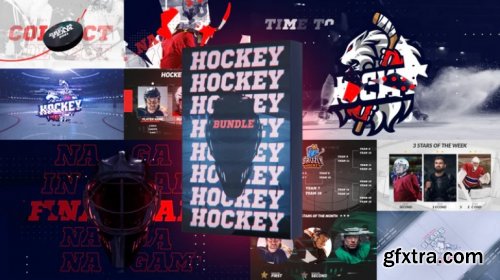 Ice Hockey Bundle 950990