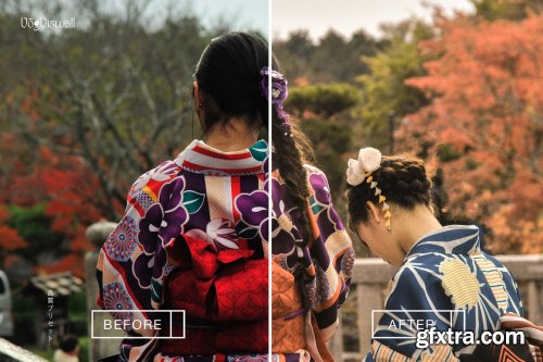 CreativeMarket - JAPAN EARTH PRESETS 6069446