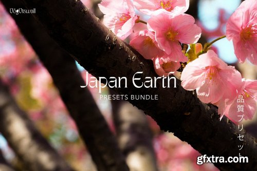 CreativeMarket - JAPAN EARTH PRESETS 6069446