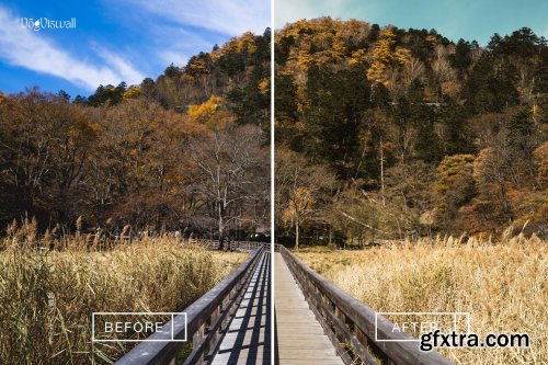 CreativeMarket - JAPAN EARTH PRESETS 6069446