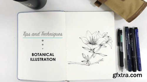  Botanical Illustration - Basic Tips