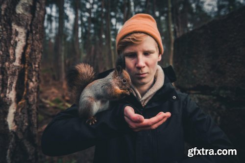 Wildlife Photography: Capturing Portraits of Your Favorite Animals