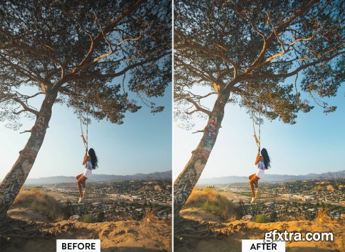 CreativeMarket - 10 Perfect Insta Lightroom Preset 6145241