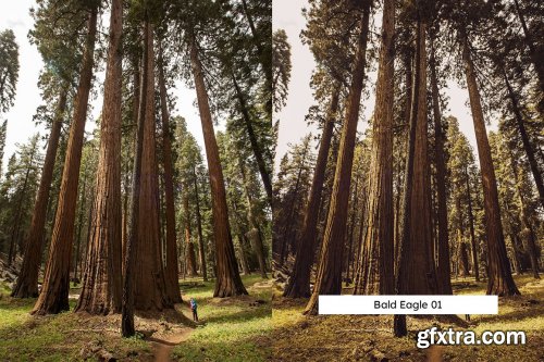 CreativeMarket - 20 USA Lightroom Presets & LUTs 6124510