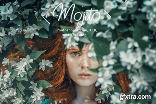 CreativeMarket - 8 Photoshop Actions ACR LUT Mojito 6145129