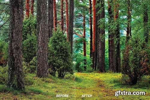 Forest Mobile and Desktop Lightroom Presets