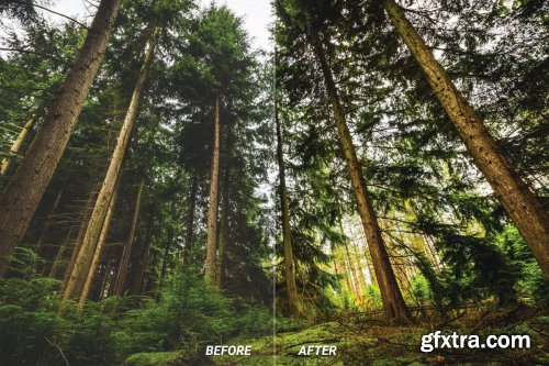 Forest Mobile and Desktop Lightroom Presets