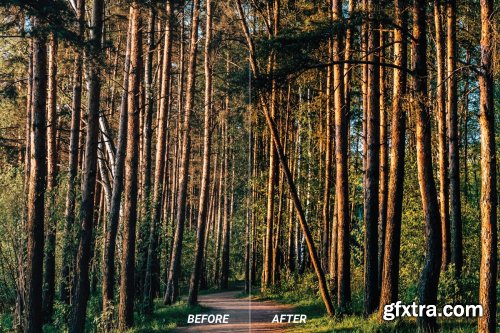 Forest Mobile and Desktop Lightroom Presets