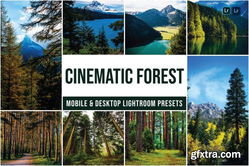 Forest Mobile and Desktop Lightroom Presets