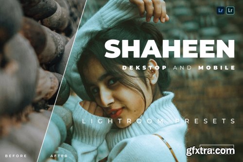 Shaheen Desktop and Mobile Lightroom Preset