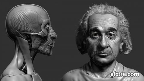 Facial Anatomy and Likeness Tutorial