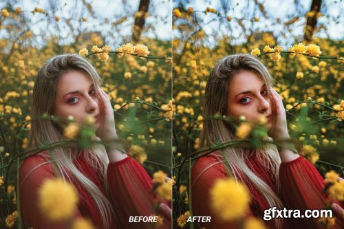 Organic Mobile and Desktop Lightroom Presets