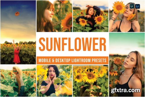 Sunflower Mobile and Desktop Lightroom Presets