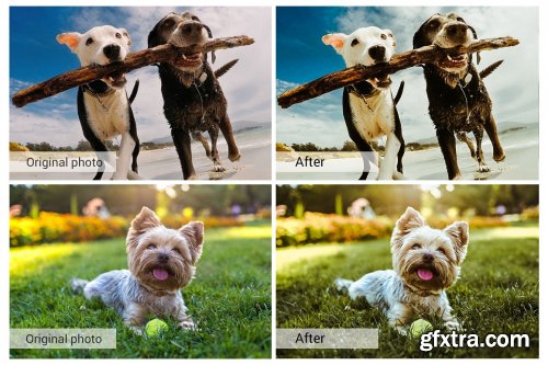 CreativeMarket - Lovely Pets Lightroom Presets 5157310