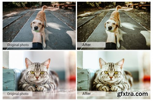 CreativeMarket - Lovely Pets Lightroom Presets 5157310