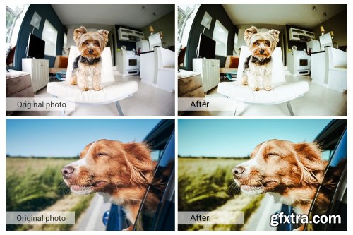 CreativeMarket - Lovely Pets Lightroom Presets 5157310