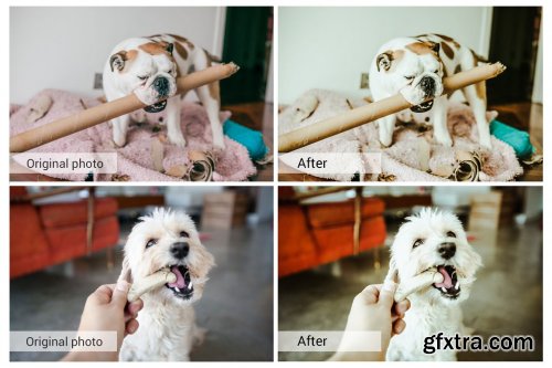 CreativeMarket - Lovely Pets Lightroom Presets 5157310