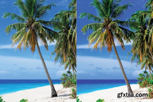 Coconut Mobile and Desktop Lightroom Presets