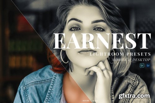 Earnest Mobile and Desktop Lightroom Presets