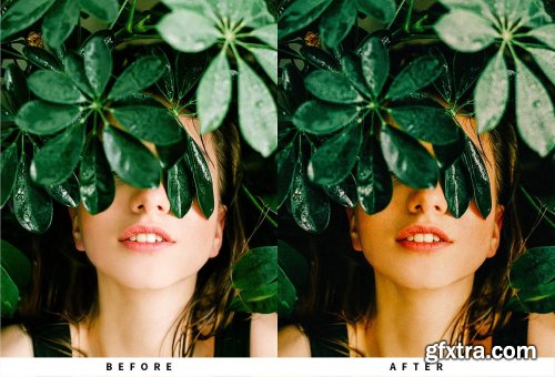  CreativeMarket - 10 Matte Film Lightroom Presets 5857415