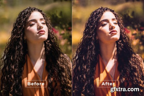 Gaincarlo Desktop and Mobile Lightroom Preset