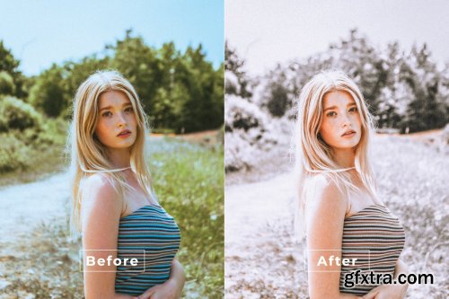 Fraser Desktop and Mobile Lightroom Preset